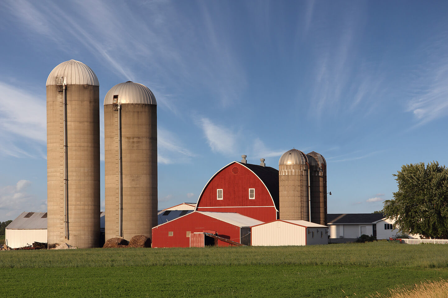 Red Barn on a Farm